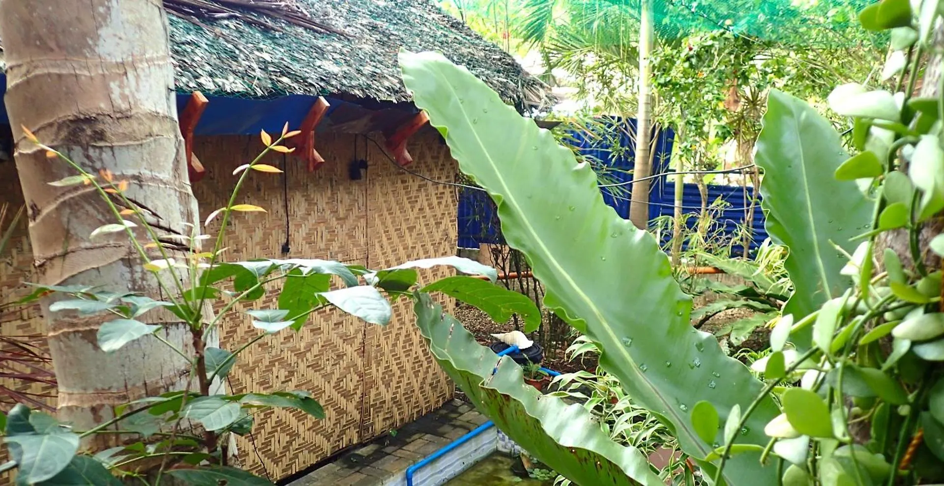 Island Tiki Paradise Resort Panglao Philippines