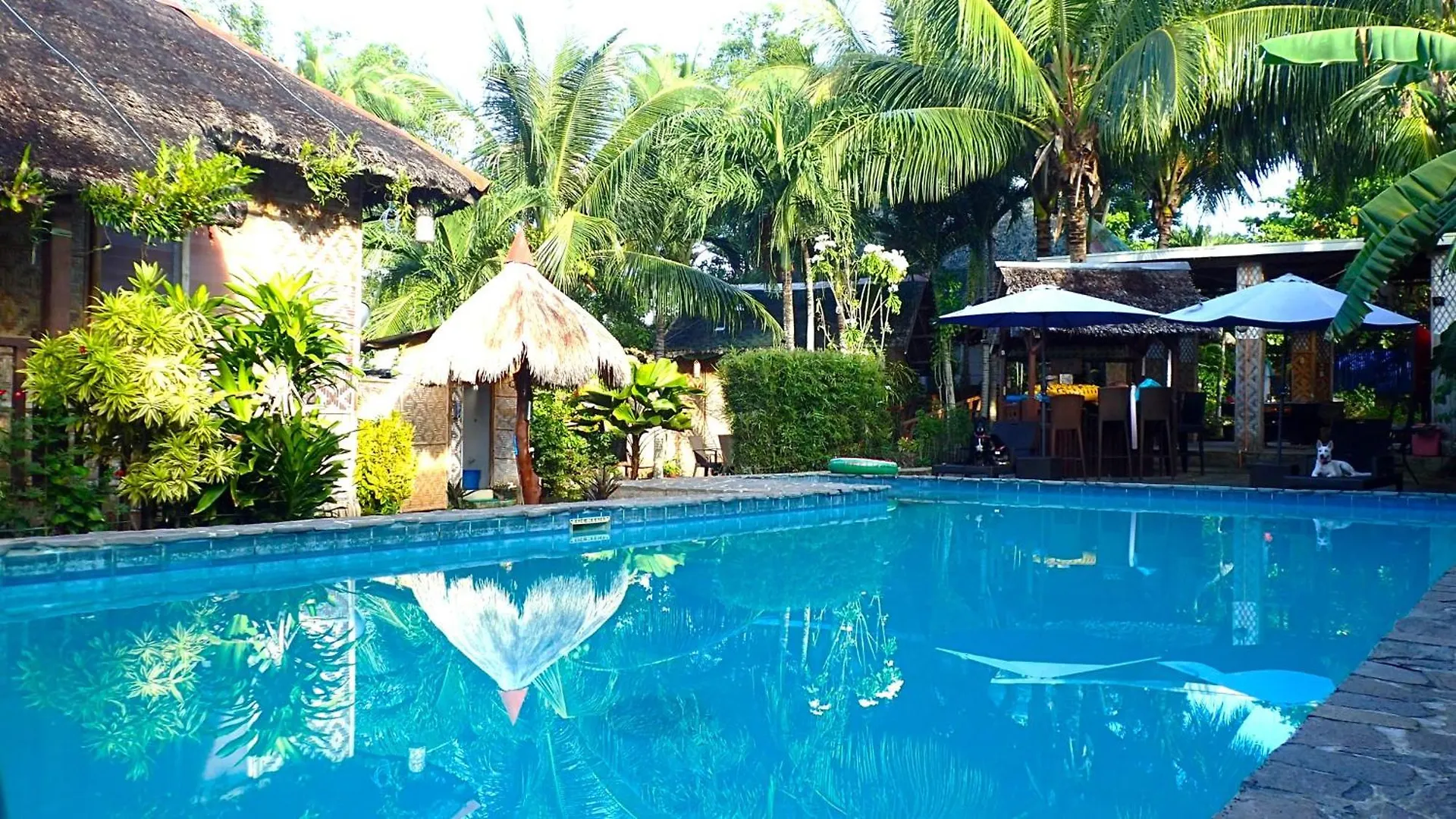 Island Tiki Paradise Resort Panglao 3*,  Philippines